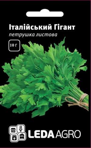 Петрушка Итальянский Гигант 10 гр. L Петрушка Итальянский Гигант 10 гр. L