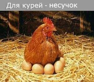Комбікорм ПК 1-25 (віком від 48 тижнів) Мішок 20 кг. Комбікорм ПК 1-25 (віком від 48 тижнів) Мішок 20 кг.