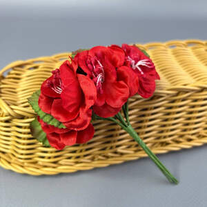 Азалия, букет 6 цветков - красный