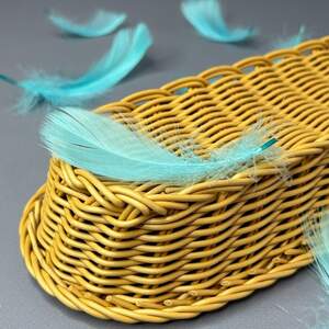 Перья гусиные для рукоделия 9-13 см, 95шт - бирюзовый Перья гусиные для рукоделия 9-13 см, 95шт - бирюзовый