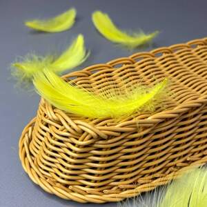 Перья гусиные для рукоделия 9-13 см, 95шт - Желтый Перья гусиные для рукоделия 9-13 см, 95шт - Желтый