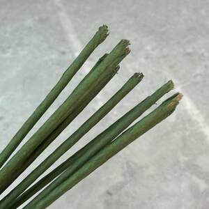 Проволока флористическая (герберная) в бумаге 5 мм - 1 кг Проволока флористическая (герберная) в бумаге 5 мм - 1 кг