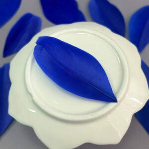 Перья гусиные для рукоделия 5-7 см, 50шт - электрик