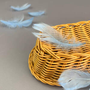 Перья гусиные для рукоделия 9-13 см, 95шт - голубой