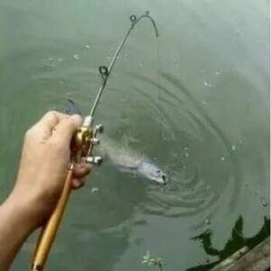 Удочка складная с катушкой и леской, телескопическая, Fishing rod in pen case, блесной, удочка ручка Удочка складная с катушкой и леской, телескопическая, Fishing rod in pen case, блесной, удочка ручка