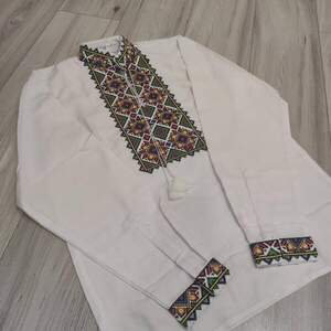 Чоловічі вишиванки Moderika Руслан з кольоровою вишивкою 37