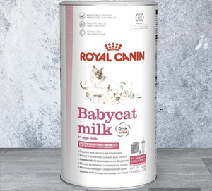 Замінник кошачого молока Babycat Milk 300г