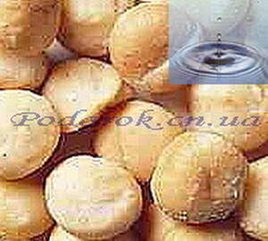 Водорастворимое масло Макадамии