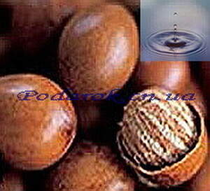 Водорастворимое масло Ши (Карите)