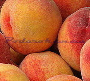 Масло Персиковых косточек