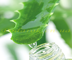 Отдушка "Алое" - обычн. конц.