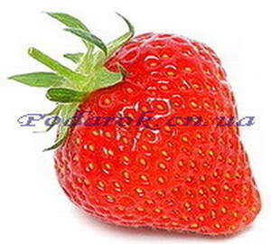 Отдушка "Клубника" - обычн. конц.