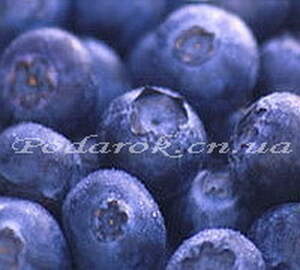 Отдушка "Черника"