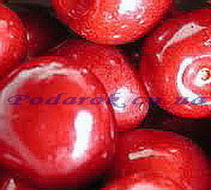 Краситель Краситель