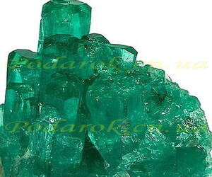 Краситель Краситель