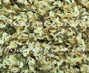 Сухоцвет - Акации