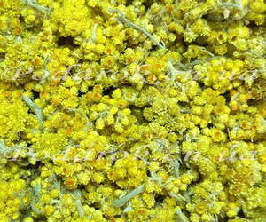 Сухоцвет - Бессмертника