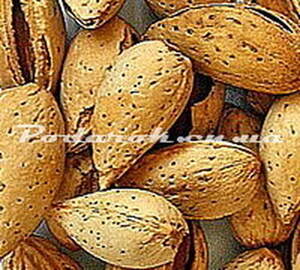 Миндальная косточка 0,1-0,15мм