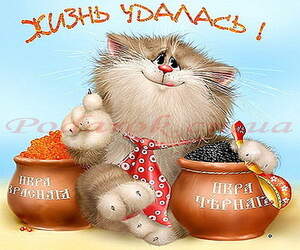 Картинка 109