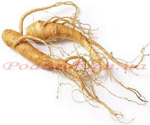 Экстракт женьшеня