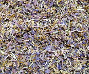 Сухоцвет Иван-чая