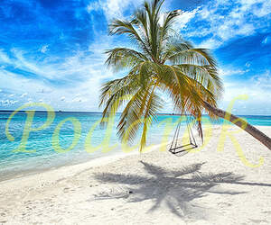 Картинка 279