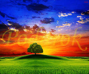 Картинка 333