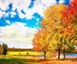 Картинка 334