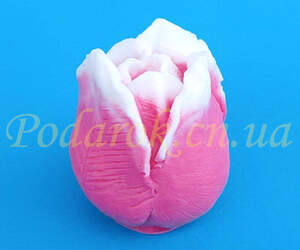 Форма для мыла 