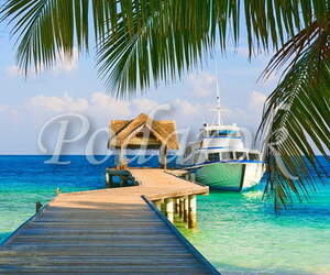 Картинка 368