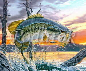 Картинка 370