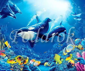 Картинка 371