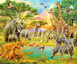 Картинка 376