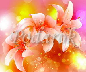 Картинка 385