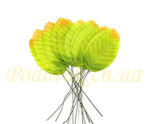 Листочек салатовый с оранжевым кончиком