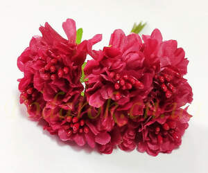 Хризантема мини бордовая