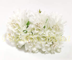 Хризантема мини белая