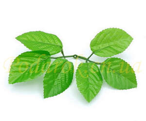 Листья розы, L 18см