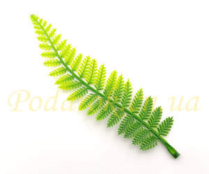 Веточка папоротника