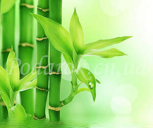 Отдушка "Зелёный бамбук" - усил. конц.