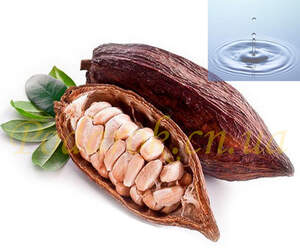 Водорастворимое масло Какао