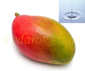 Водорастворимое масло Манго