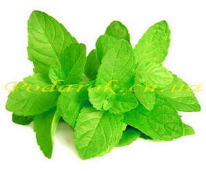 Гидролат мяты