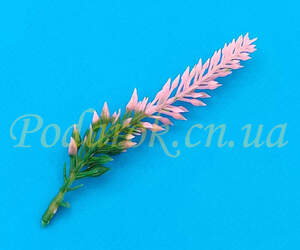 Веточка лаванды розовая