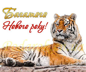 Картинка 412