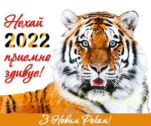 Картинка 413