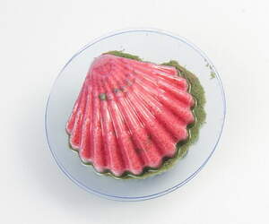 Пластиковая форма для бомбочек Ракушка