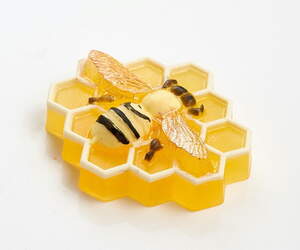 Пластиковая форма 