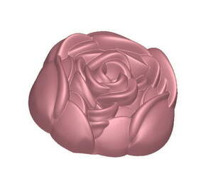 Пластиковая форма 