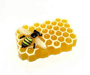 Пластиковая форма 